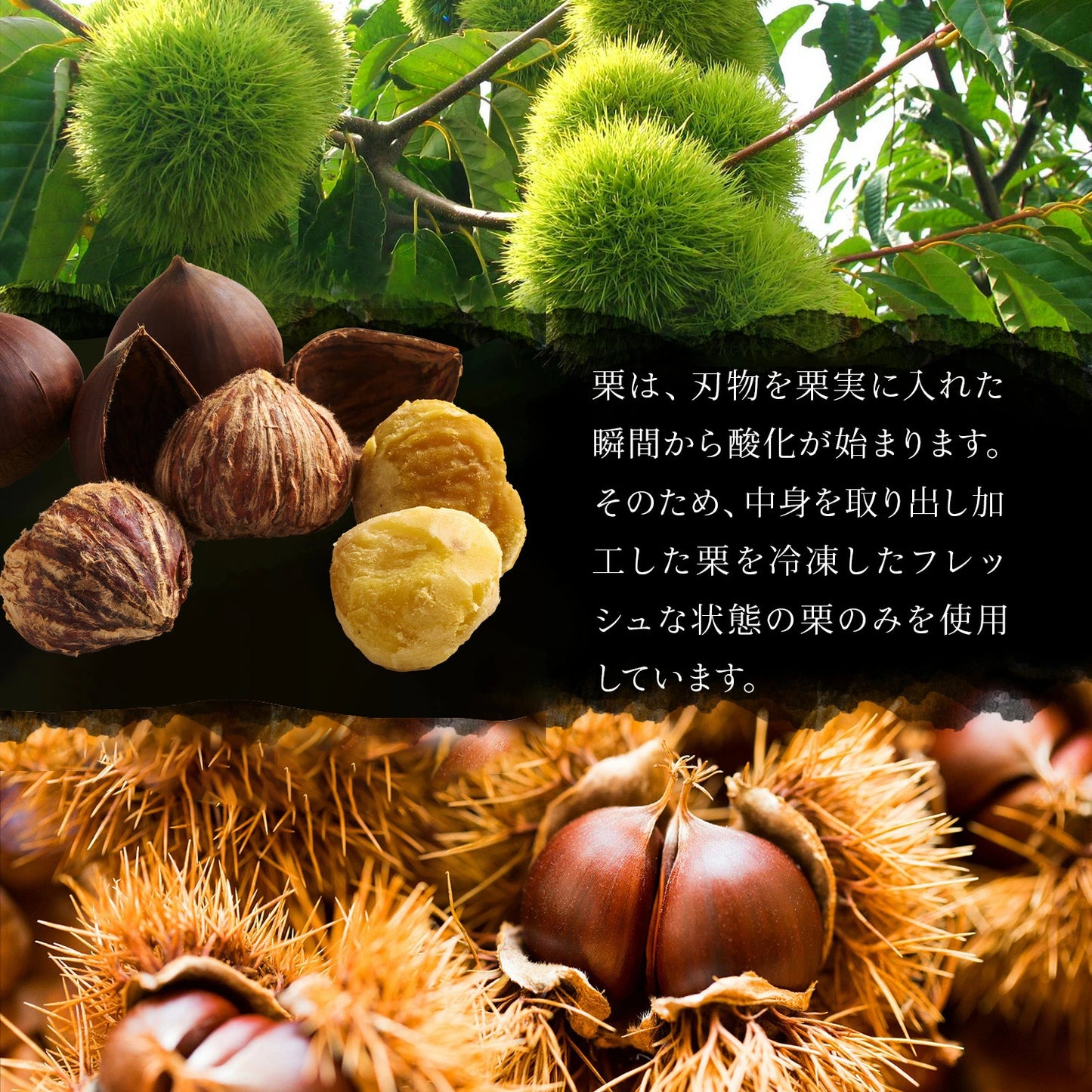 THE PREMIUM 栗きんとん （15個）
