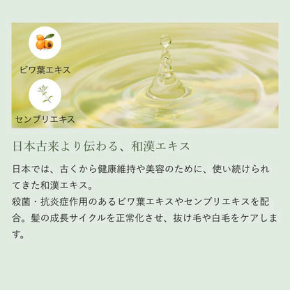 CHETNA シャンプー